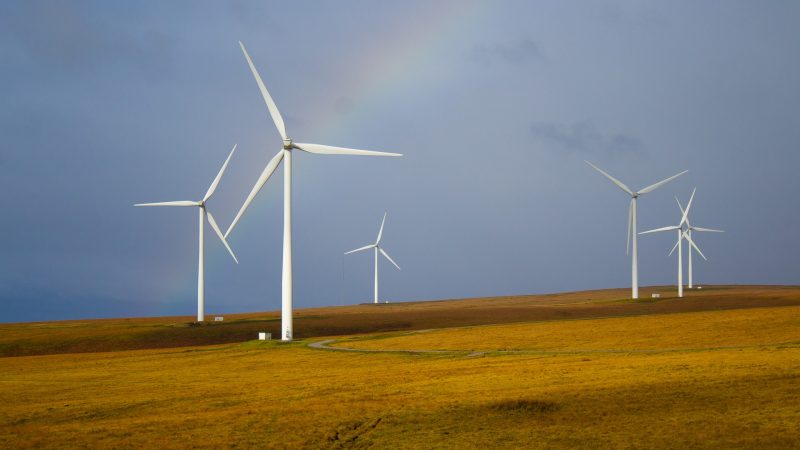 10 lucruri inedite despre energia eoliană